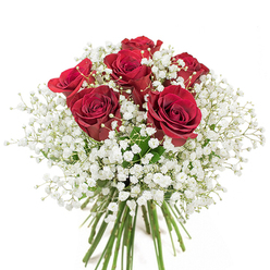 Softly illuminated against a pure white canvas, this breathtaking bouquet encapsulates the refined artistry found in Leytonstone, only steps from Bushwood and the creative ambience of Church Lane. Six velvety red roses, each in a rich, near-open bloom, anchor the arrangement with their deep romantic energy. Interlaced with waves of soft white baby's breath, the roses gleam amidst a frothy backdrop of delicate gypsophila florets, creating a gentle yet striking interplay of colour and light. The long, freshly cut green stems at the base are tightly bundled, emphasizing the bouquet's handcrafted quality and the freshness guaranteed by local Leytonstone florists. Each element is thoughtfully selected and arranged to embody intimacy and celebration-the perfect offering for an anniversary, heartfelt thank you, or any moment yearning for elegance and sincerity. With every detail, from the subtle contrast of textures to the bouquet's cloudlike volume, this arrangement boasts a timeless allure that resonates with the vibrant, artistic pulse of Leytonstone. Whether destined for a home near Hollow Ponds or a gathering along High Road, this bouquet transforms life's moments into cherished memories.